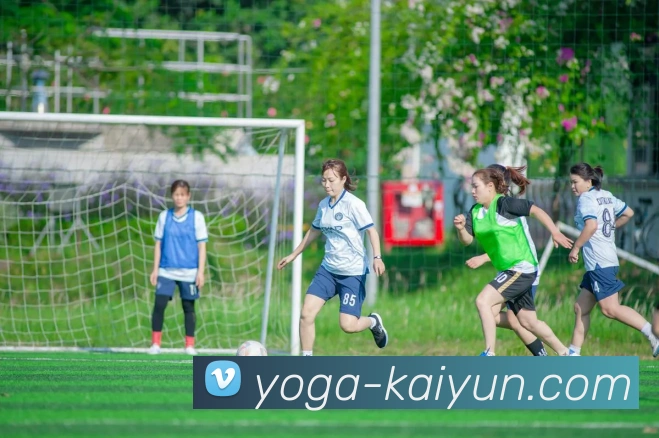 开云官网发展历程